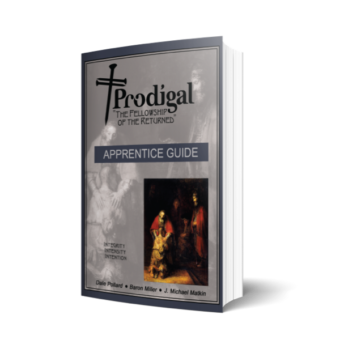 prodigal-guidebook-apprentice